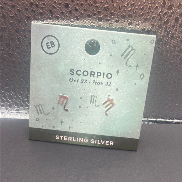 EARTHBOUND Jewelry - EARTHBOUND Silver Scorpio Stud Earrings